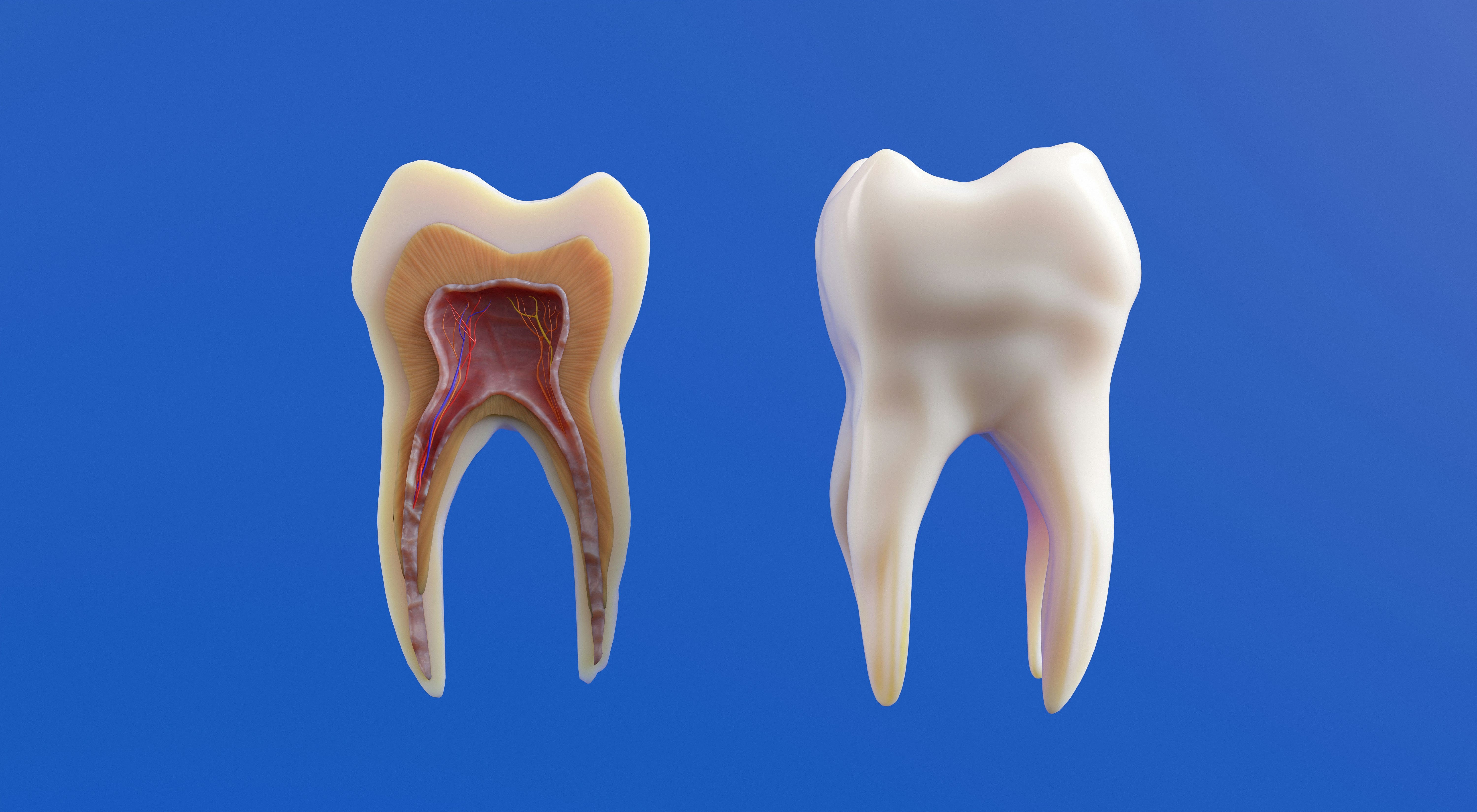 Preguntas frecuentes sobre endodoncia
